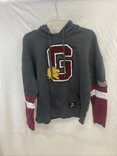 BoxLunch Harry Potter Hoodie Small Gray Gryffindor Sweatshirt Wizard World