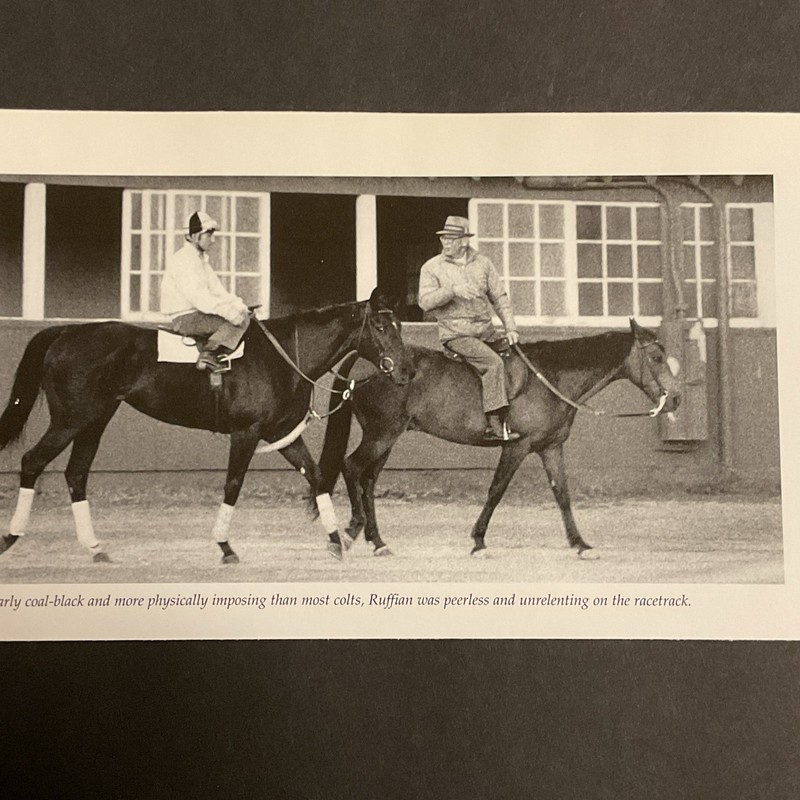 RUFFIAN PHOTO Horse Racing 1974-1975 CHAMPION FILLY