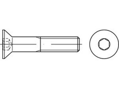 25 x Senkschrauben mit Innensechskant ISO 10642 A 4 M 20 x 80 A 4 VES, CAB FASTE