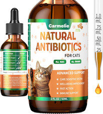 Natural Antibiotics for Cats Cat Antibiotics for Allergy Relief, Urinary Tr...