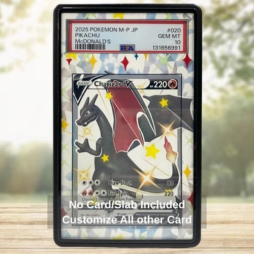 Pokemon TCG EXTENDED ART CASE Charizard V 079 SR Champions Path CCG Card Game