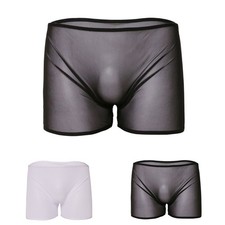 Mens Sheer Mesh See Through Boxer Briefs Thin Underwear Shorts Trunks Swimsuit