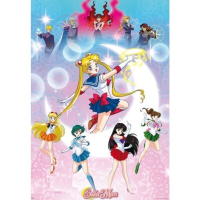 SAILOR MOON MOONLIGHT POWER POSTER NEW 24x36 JAPANESE ANIME FREE SHIPPING