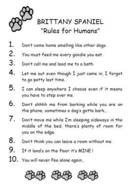 Brittany Spaniel ''Rules for Humans'' - CUSTOM MATTED - Dog Art Print : GIFT