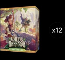 Disney Lorcana: Wilds Unknown Prerelease Box Case
