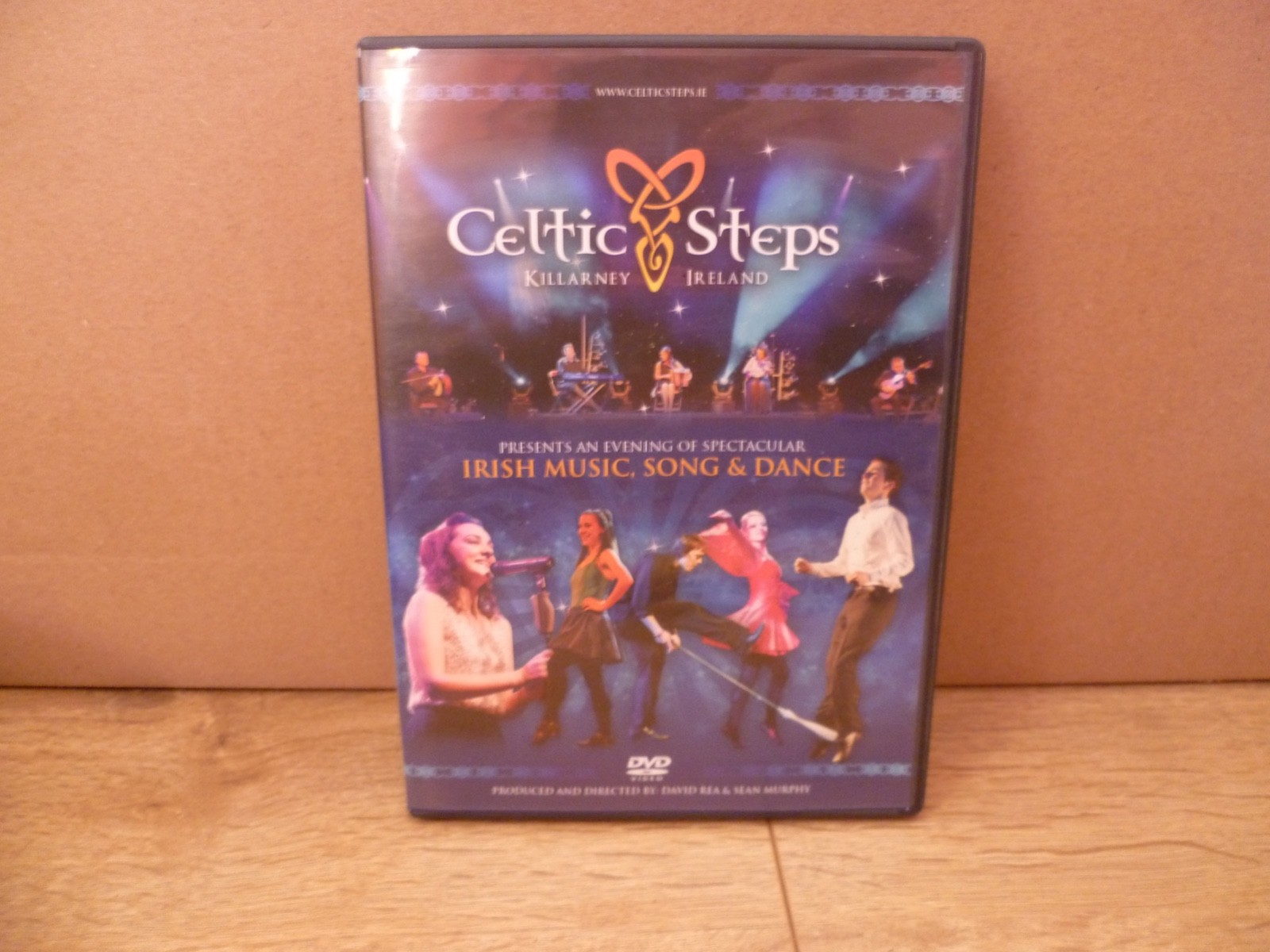 CELTIC STEPS IRISH MUSIC, SONG & DANCE DVD-R Killarney Ireland Jigs Polkas