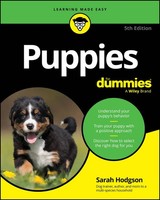 Puppies For Dummies | Sarah Hodgson | Taschenbuch | Einband - Flex.(Paperback)