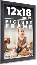 12x18 Contemporary Black Wood Frame UV Acrylic and Acid Free Foam Board