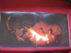 THE EAGLES "EAGLES" 1972 ASYLUM SD-5054 FIRST GATEFOLD ISSUE RARE LQQQK!!