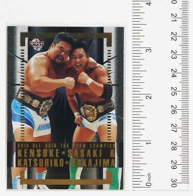 KENSUKE SASAKI & KATSUHIKO NAKAJIMA - 2005 BBM Pro-Wrestling
