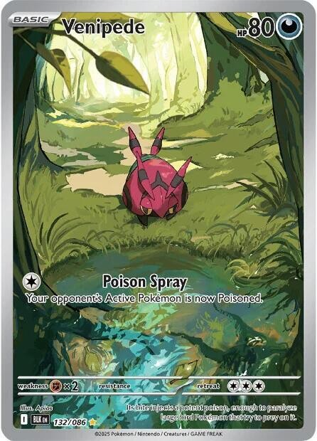 Venipede - 132/086 - Pokemon Black Bolt Illustration Rare NM