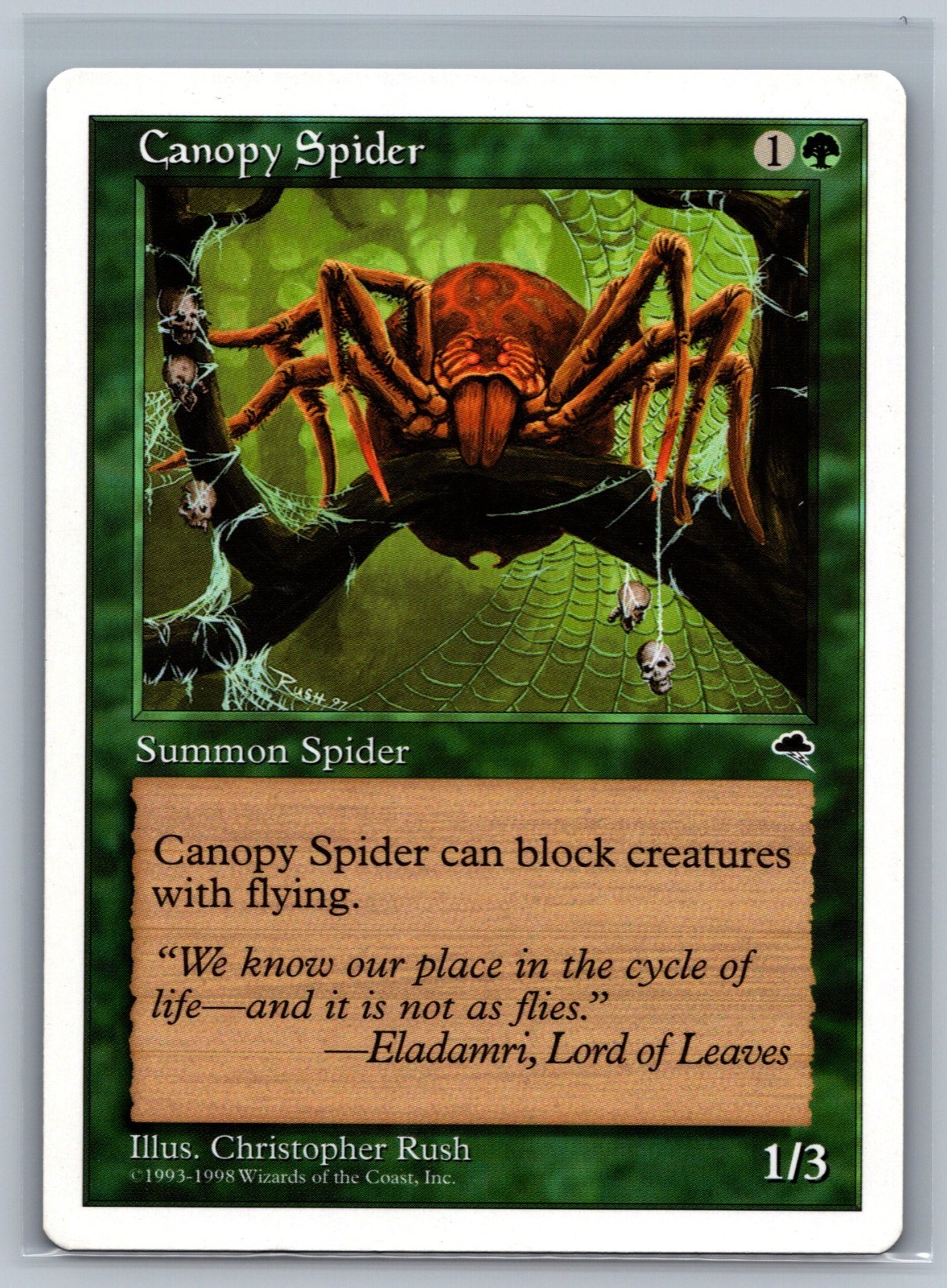 Magic The Gathering Anthologies Canopy Spider MTG TCG CCG