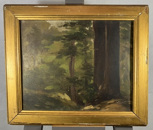 Huile sur panneau étude d'arbre Ecole francaise XIX ème dans son cadre ancien - Photo 1/12