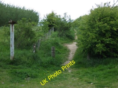 Photo 6x4 Path heading north from Lumley New Road Lumley Thicks  c2015