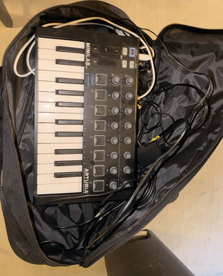 Arturia MiniLab MKII MIDI Keyboard Controller 25 Synth Keys Pad Triggers USB