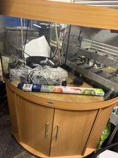 Aquarium corner Fish Tank Juwel Trigon 190L