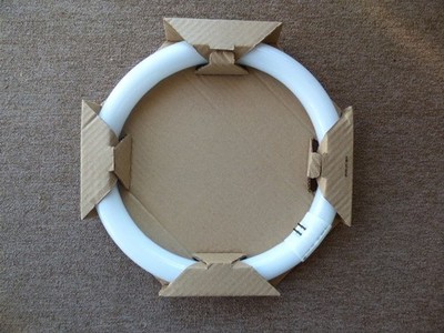 Philips Ringröhre T9, 32W, kaltweiß, 4000K, Rundröhre , L32W/840