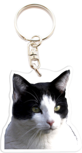 Chat Gouttiere Noir Blanc Porte Cles Personnalise Photo Prenom Texte Cadeau R9 Ebay