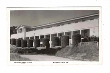 Vintage Postcard - c1950s - Kalimna, Lorne. Vic. Rose Series P. 13755