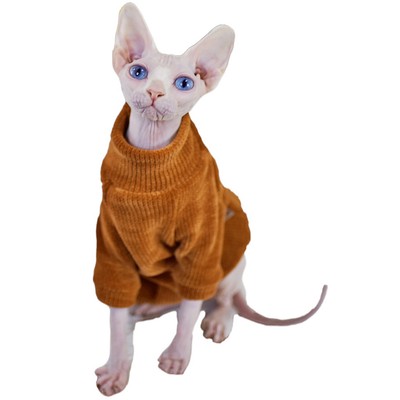 sphynx cat jacket