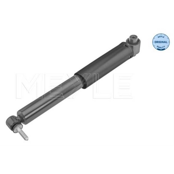 Meyle StoßDäMpfer Hinterachse Passend FüR Renault ScéNic III JZ0/1_ Grand-image