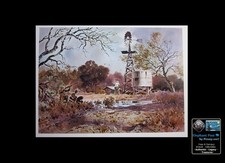 John Cowan Windmill Doves Hunt Corpus Christi Texas with Short Story 9x11