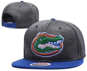 florida gators ball caps