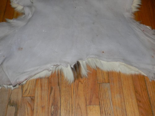 PIEBALD Deerskin Hair On Hide Full Deer Hide Soft Rug Pelt - Picture 13 of 20