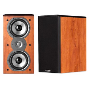 dual bookshelf speakers