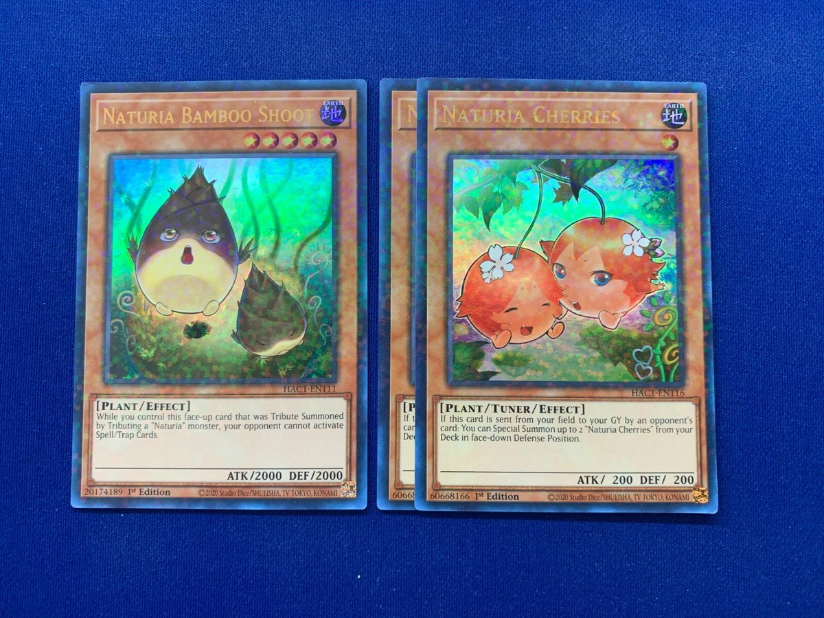 yugioh naturia deck 2011 Amazon.com: Generic Complete Custom Deck for Yu-Gi-Oh! main image 0