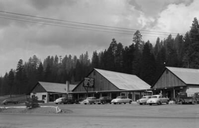 Mineral Lodge Mineral, California 1950s view OLD PHOTO 19