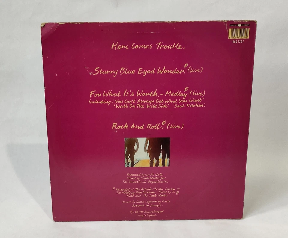 The Icicle Works - Hier Kommt Ärger - Musik Vinyl Schallplatte - Bild 2 von 4