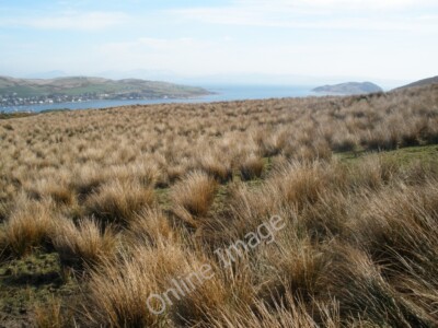 Photo 6x4 View from Beinn Ghuilean Plantation Campbeltown Looking North-E c2010