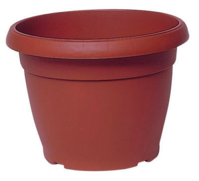 VASI VASO + SOTTOVASO ARCA SIMILCOTTO EFFETTO SPAZZOLATO ø 22 CM FUCSIA NEW