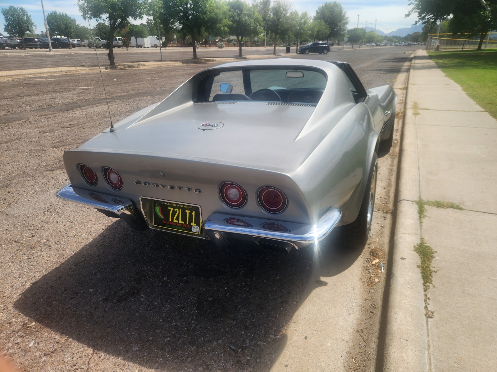 1972 Silver Chevrolet Corvette   | C3 Corvette Photo 6