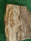 Rough Slab Banded Jasper 138g. 5/16" Thick Lapidary Cabbing #B-2 — photo 1