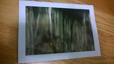 ORIGINAL Photograph by ALLEN G.CASTNER matted Made in USA