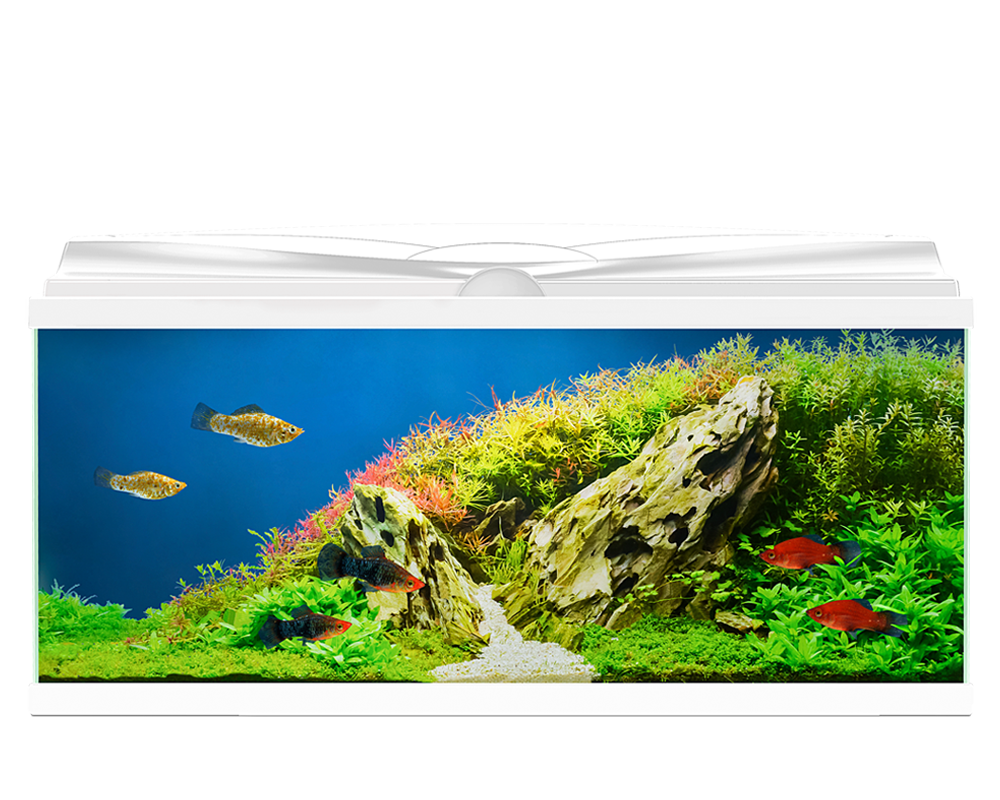 **BRAND NEW** LARGE Fish Tank Aquarium Complete Setup Heater, Filter