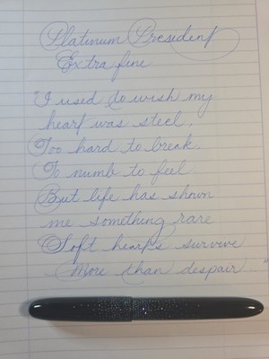 Platinum President Raden Extra Fine Nib