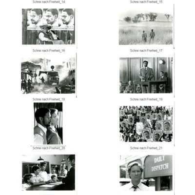 SCHREI NACH FREIHEIT : 8 ORIGINAL-US- Pressefotos(20x25cm) KEVIN KLINE, DENZEL W