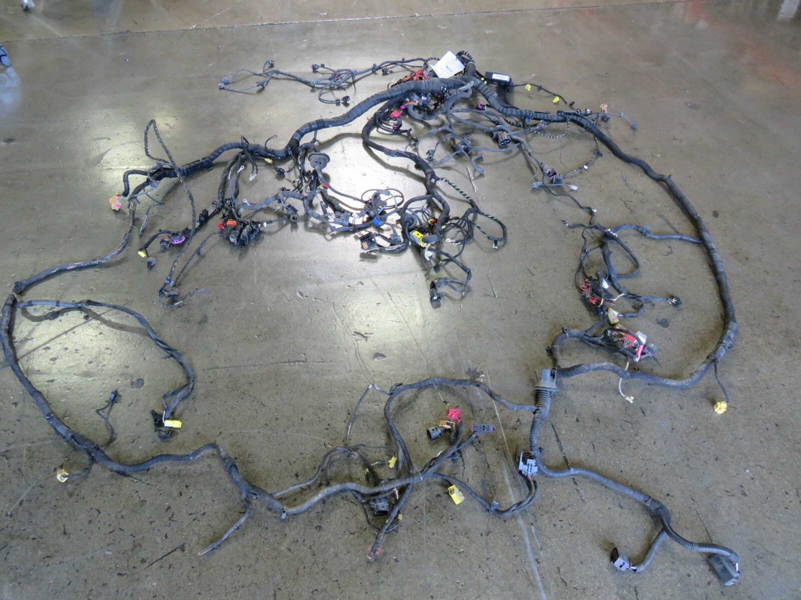 Lamborghini Gallardo LP 550 Spyder, Main Body Wire Harness, Used, P/N 404971140S