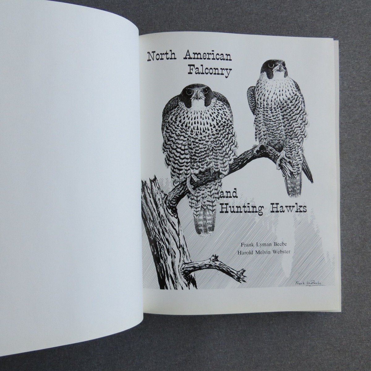 Fauconnerie Et Faucons De Chasse Nord-américains – F L Beebe & HM Webster – 1ère édition