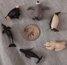 Safari Ltd North American Wildlife TOOB  Miniature Toy Figurine Set for Kids 12