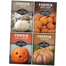 Pumpkin Seeds 4 Variety Pack for Planting   Small Sugar, Jack O  Lantern,