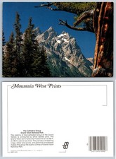 Grand Teton National Park Cathedral Group Mountain West Prints Postcard