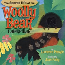 The Secret Life of the Woolly Bear Caterpillar - Hardcover - GOOD