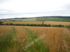 Photo 6x4 Field of oats at Tredinnick St Mabyn Pencarrow Wood can be seen c2011