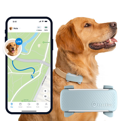 Tractive DOG 6 | GPS Tracker Hund & Health Tracker | Mint | GENERALÜBERHOLT