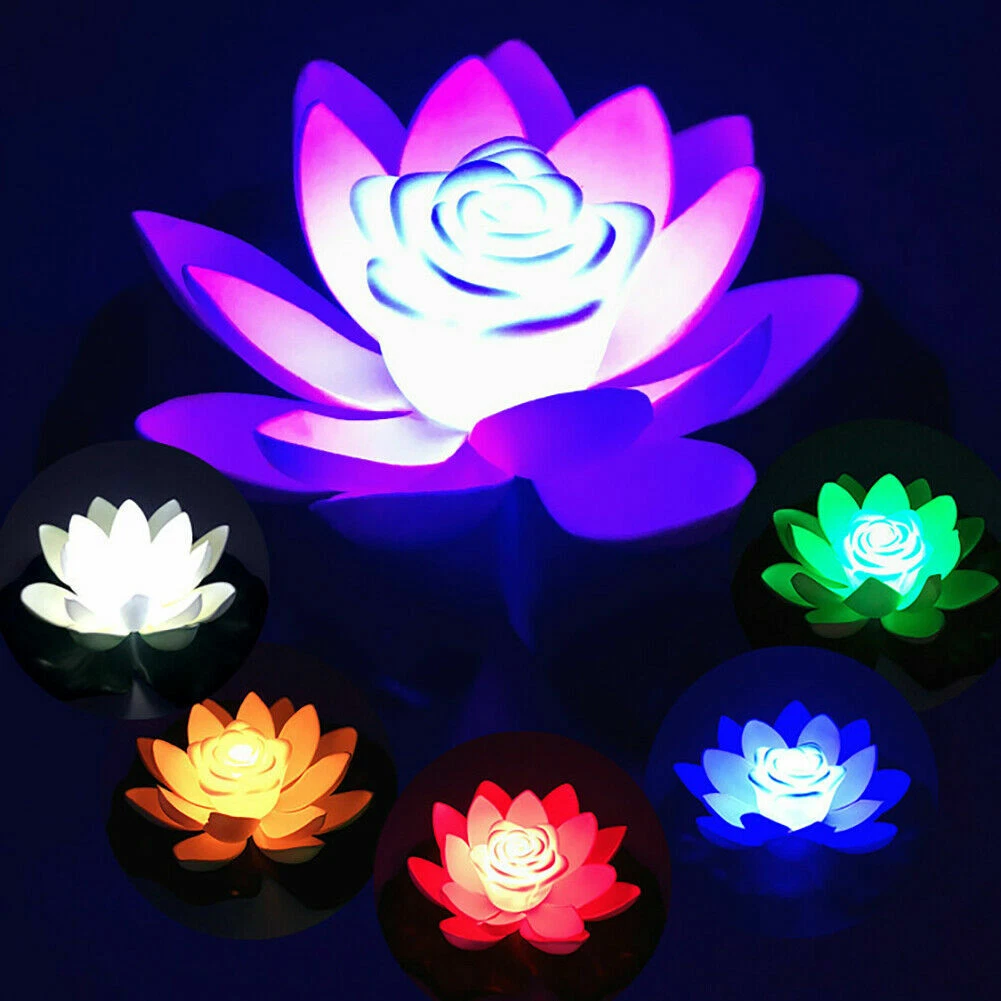 Lotus led light price deals