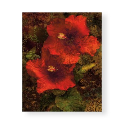 Druck auf Leinwand Auf Papier Poster Oder Bild Seba John Hibiskus II